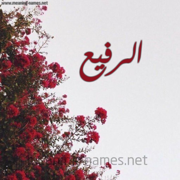 شكل 18 صوره الورد الأحمر للإسم بخط رقعة صورة اسم الرفيع alrafeea