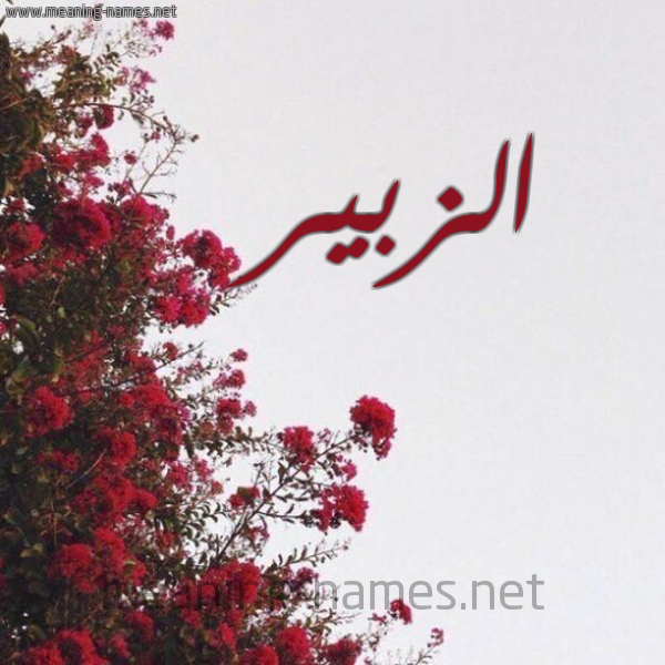 شكل 18 صوره الورد الأحمر للإسم بخط رقعة صورة اسم الزبير Elzobeer