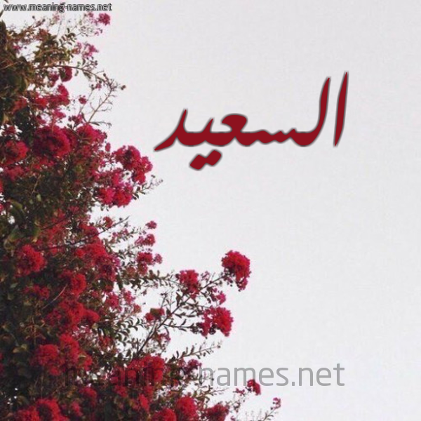 شكل 18 صوره الورد الأحمر للإسم بخط رقعة صورة اسم السعيد ESSAID