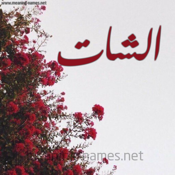 شكل 18 صوره الورد الأحمر للإسم بخط رقعة صورة اسم الشات alshat
