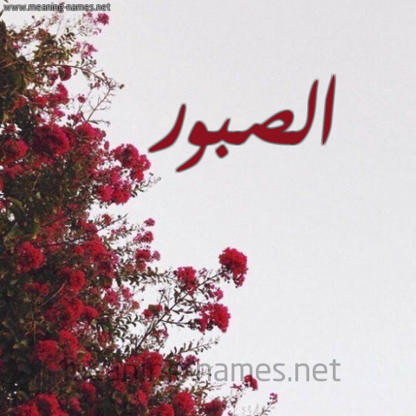شكل 18 صوره الورد الأحمر للإسم بخط رقعة صورة اسم الصبور Al-Sbwr