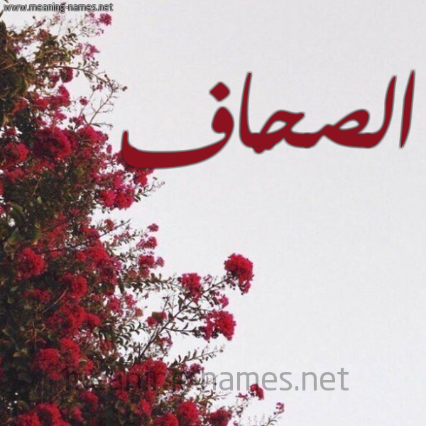 شكل 18 صوره الورد الأحمر للإسم بخط رقعة صورة اسم الصحّاف ALSHAF