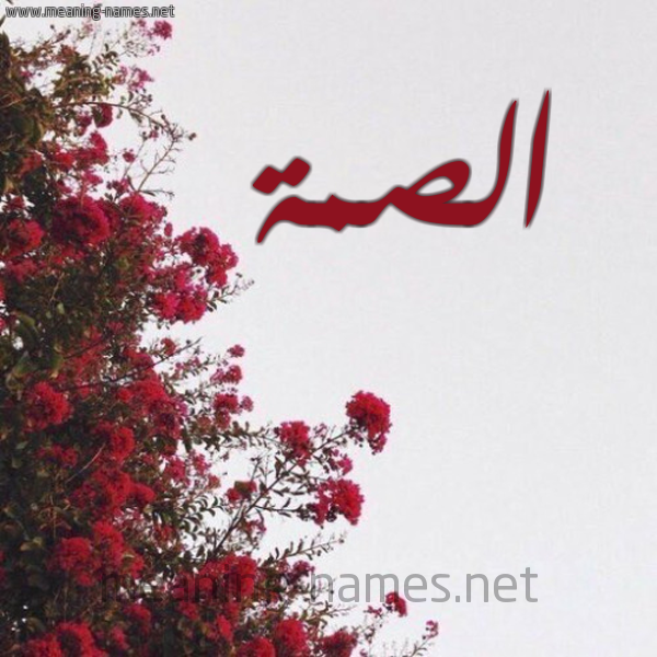 شكل 18 صوره الورد الأحمر للإسم بخط رقعة صورة اسم الصمة ALSMH