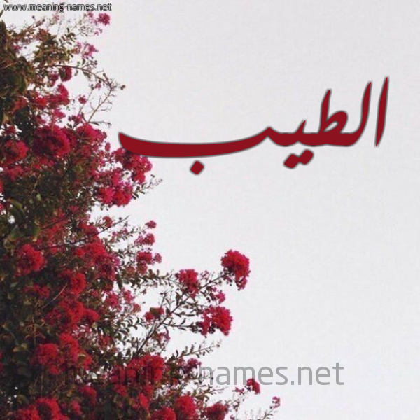 شكل 18 صوره الورد الأحمر للإسم بخط رقعة صورة اسم الطيب Taib