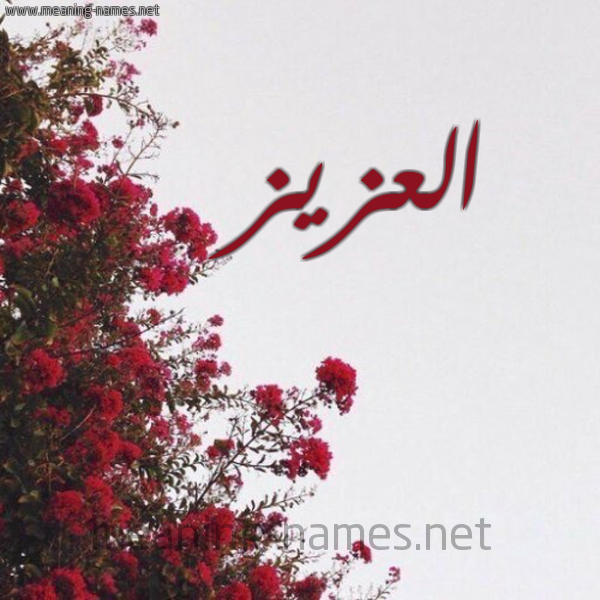 شكل 18 صوره الورد الأحمر للإسم بخط رقعة صورة اسم العزيز ALAZIZ