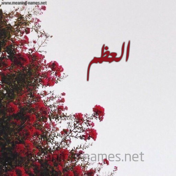 شكل 18 صوره الورد الأحمر للإسم بخط رقعة صورة اسم العَظْم ALAAZM