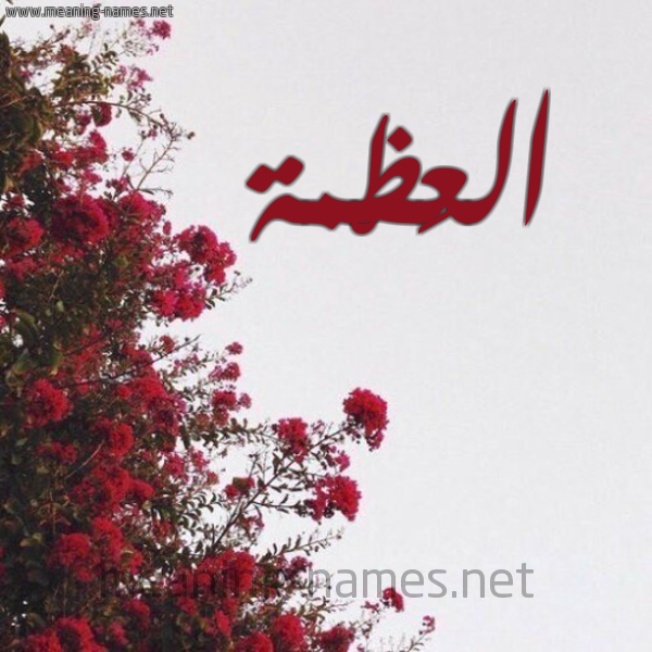 شكل 18 صوره الورد الأحمر للإسم بخط رقعة صورة اسم العَظْمة ALAAZMH