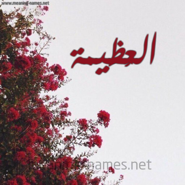شكل 18 صوره الورد الأحمر للإسم بخط رقعة صورة اسم العُظَيمة ALAOZAIMH