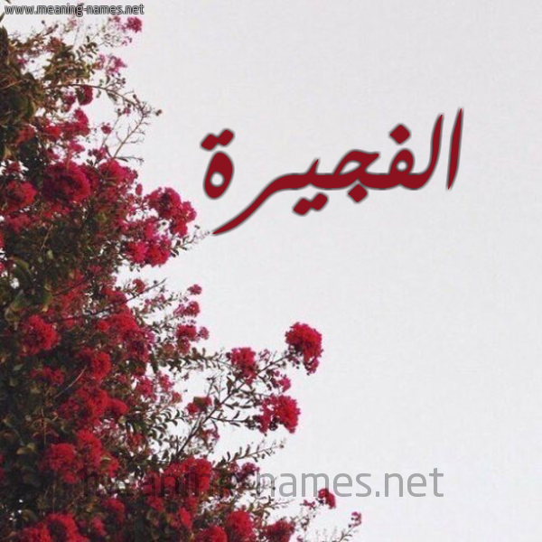 شكل 18 صوره الورد الأحمر للإسم بخط رقعة صورة اسم الفجيرة ALFGIRH
