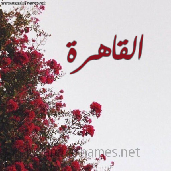 شكل 18 صوره الورد الأحمر للإسم بخط رقعة صورة اسم القاهرة ALQAHRH