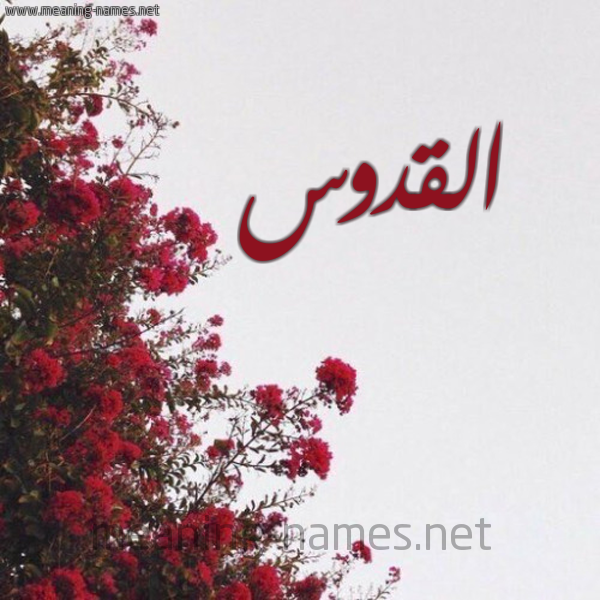 شكل 18 صوره الورد الأحمر للإسم بخط رقعة صورة اسم القدوس ALQDOS