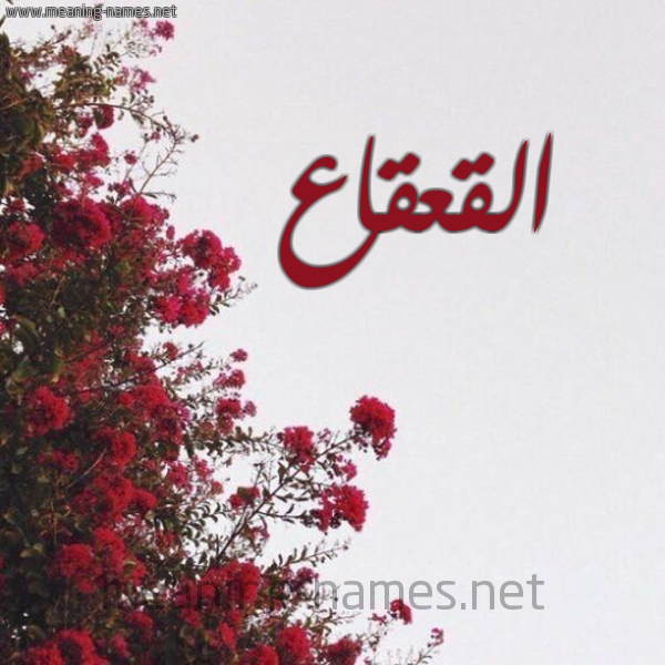 شكل 18 صوره الورد الأحمر للإسم بخط رقعة صورة اسم القعقاع Alqaqaa