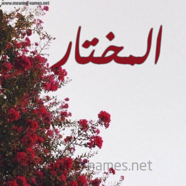 شكل 18 صوره الورد الأحمر للإسم بخط رقعة صورة اسم المختار EL-MOKHTAR