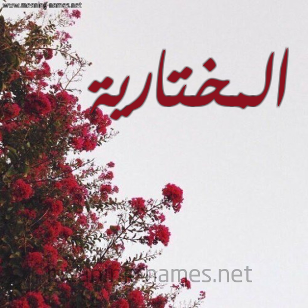 شكل 18 صوره الورد الأحمر للإسم بخط رقعة صورة اسم المختارية Almokhtariya