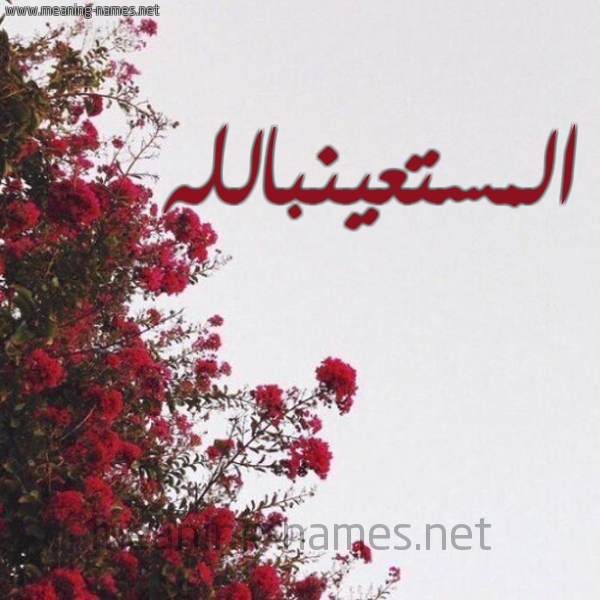 شكل 18 صوره الورد الأحمر للإسم بخط رقعة صورة اسم المستعينبالله Al-Mst'ynballh