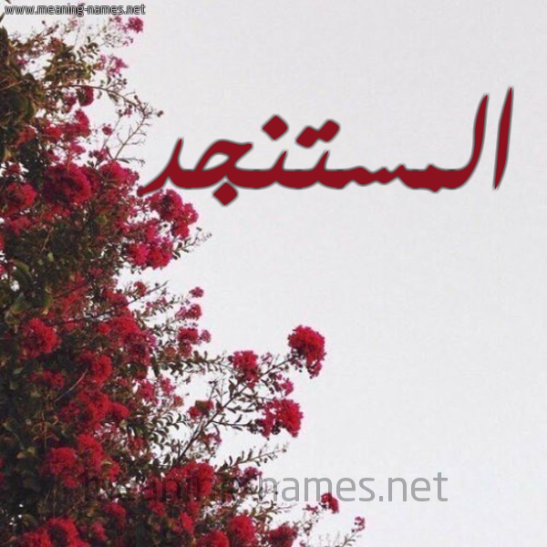 شكل 18 صوره الورد الأحمر للإسم بخط رقعة صورة اسم المستنجد EL-MOSTANJID