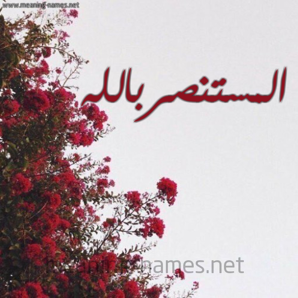 شكل 18 صوره الورد الأحمر للإسم بخط رقعة صورة اسم المستنصربالله Al-Mstnsrballh