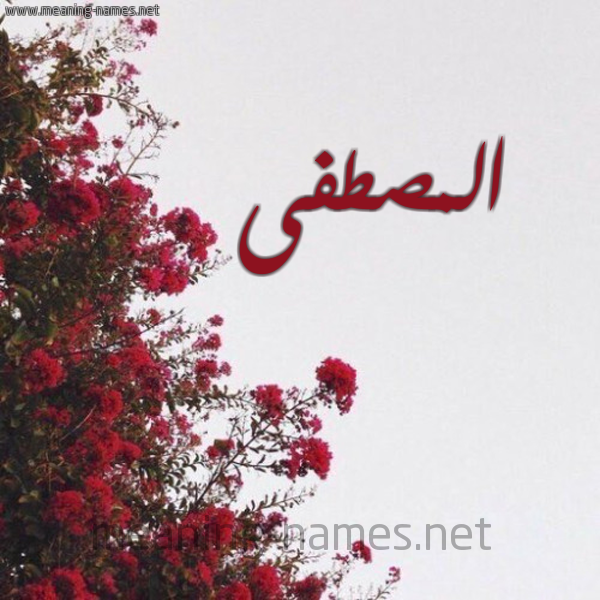 شكل 18 صوره الورد الأحمر للإسم بخط رقعة صورة اسم المصطفى EL-MOSTAPHA