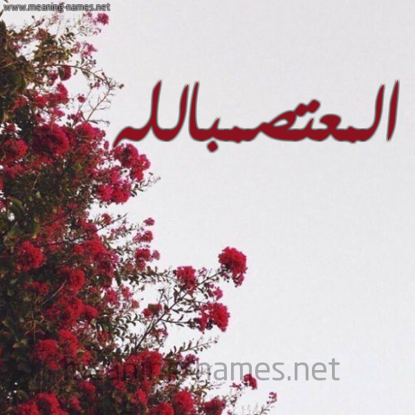شكل 18 صوره الورد الأحمر للإسم بخط رقعة صورة اسم المعتصمبالله Al-M'tsmballh