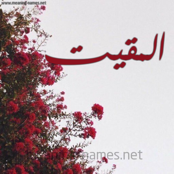 شكل 18 صوره الورد الأحمر للإسم بخط رقعة صورة اسم المقيت Al-maqeet