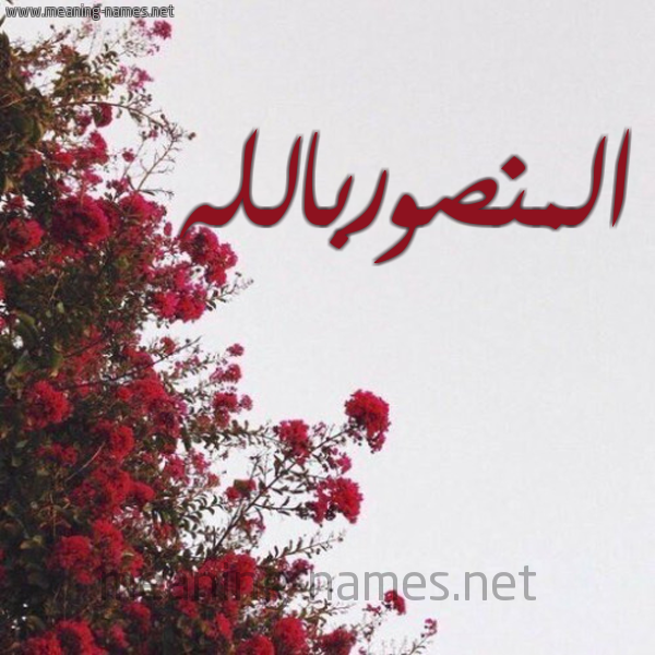 شكل 18 صوره الورد الأحمر للإسم بخط رقعة صورة اسم المنصوربالله Al-Mnswrballh