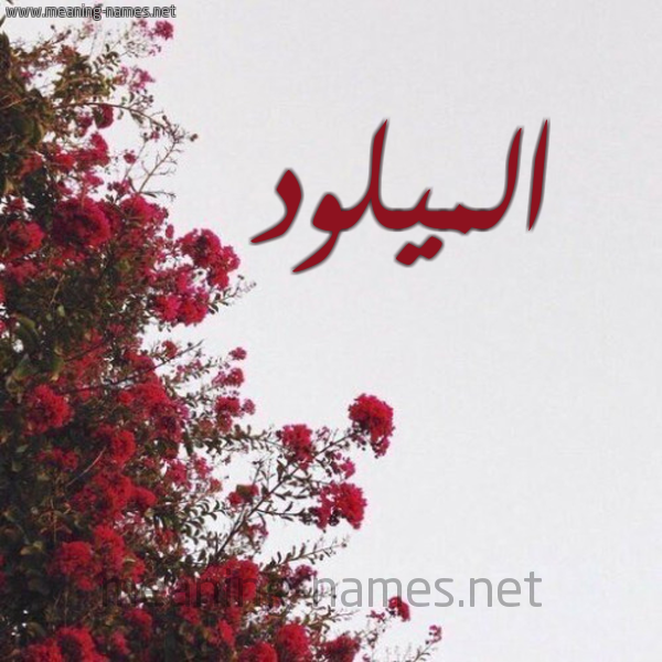 شكل 18 صوره الورد الأحمر للإسم بخط رقعة صورة اسم الميلود EL-MILOUD