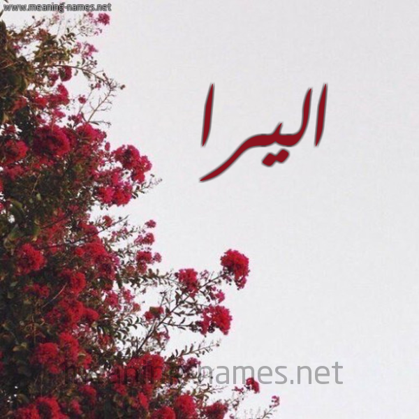 شكل 18 صوره الورد الأحمر للإسم بخط رقعة صورة اسم اليرا alira