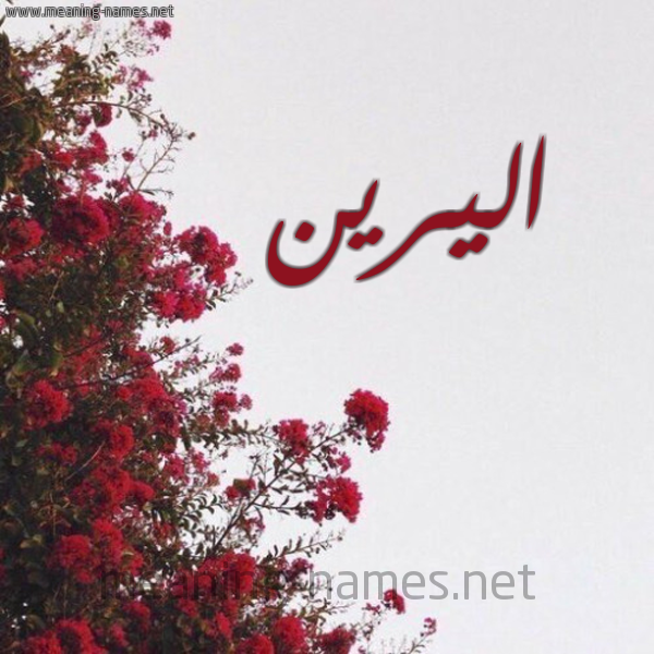 شكل 18 صوره الورد الأحمر للإسم بخط رقعة صورة اسم اليرين alereen