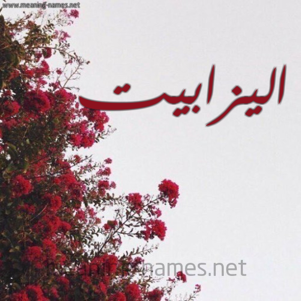 شكل 18 صوره الورد الأحمر للإسم بخط رقعة صورة اسم اليزابيت ALIZABIT