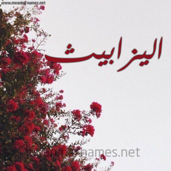شكل 18 صوره الورد الأحمر للإسم بخط رقعة صورة اسم اليزابيث ELIZABETH