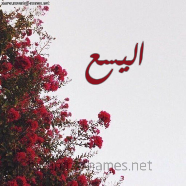 شكل 18 صوره الورد الأحمر للإسم بخط رقعة صورة اسم اليسع Alysea