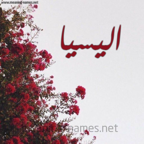 شكل 18 صوره الورد الأحمر للإسم بخط رقعة صورة اسم اليسيا elissia