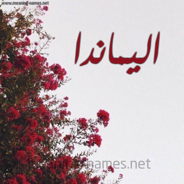 شكل 18 صوره الورد الأحمر للإسم بخط رقعة صورة اسم اليماندا almiada