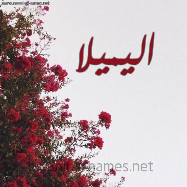 شكل 18 صوره الورد الأحمر للإسم بخط رقعة صورة اسم اليميلا Almila