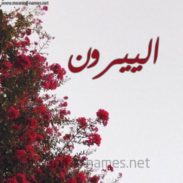 شكل 18 صوره الورد الأحمر للإسم بخط رقعة صورة اسم الييرون aliroon