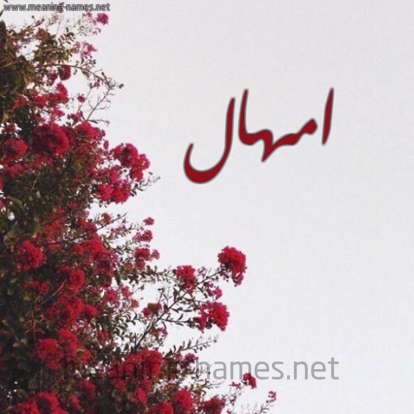 شكل 18 صوره الورد الأحمر للإسم بخط رقعة صورة اسم امهال Amhal