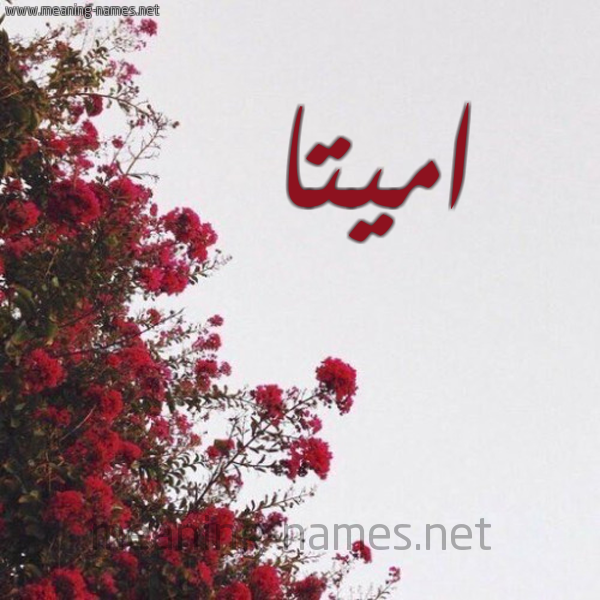 شكل 18 صوره الورد الأحمر للإسم بخط رقعة صورة اسم اميتا amitta