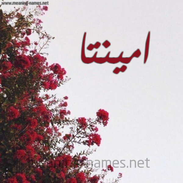 شكل 18 صوره الورد الأحمر للإسم بخط رقعة صورة اسم امينتا aminta