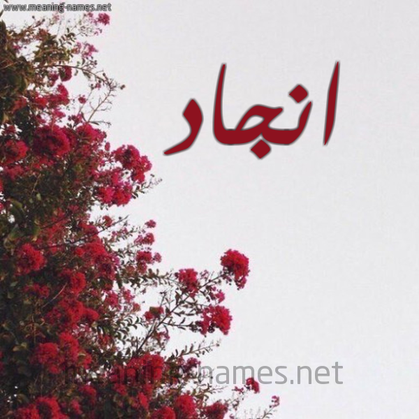 شكل 18 صوره الورد الأحمر للإسم بخط رقعة صورة اسم انجاد ANGAD