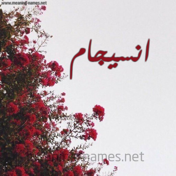 شكل 18 صوره الورد الأحمر للإسم بخط رقعة صورة اسم انسيجام Ensegam