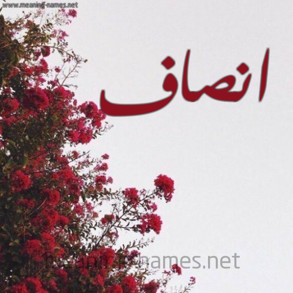 شكل 18 صوره الورد الأحمر للإسم بخط رقعة صورة اسم انصاف Ansaf