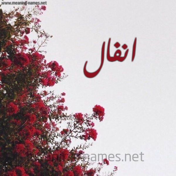 شكل 18 صوره الورد الأحمر للإسم بخط رقعة صورة اسم انفال Anfal