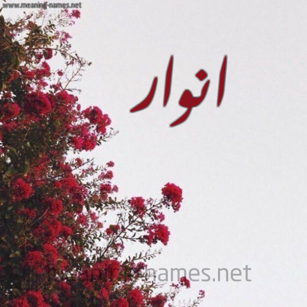 شكل 18 صوره الورد الأحمر للإسم بخط رقعة صورة اسم انوار anwar