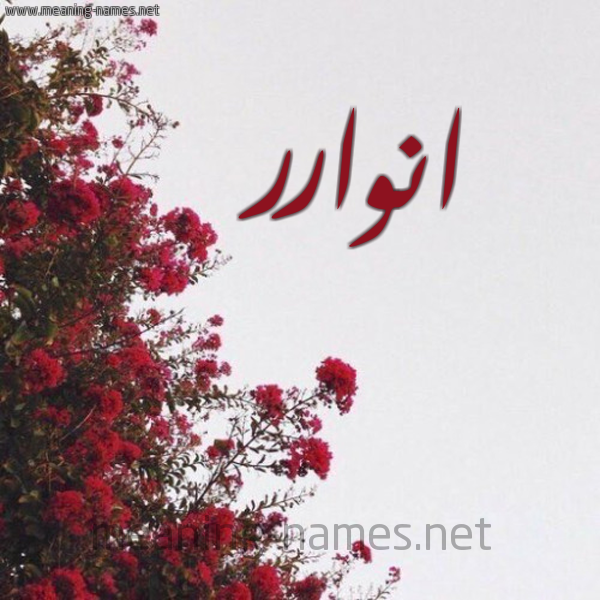 شكل 18 صوره الورد الأحمر للإسم بخط رقعة صورة اسم انوارر anwar