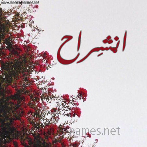 شكل 18 صوره الورد الأحمر للإسم بخط رقعة صورة اسم انْشِراح ANSHERAH