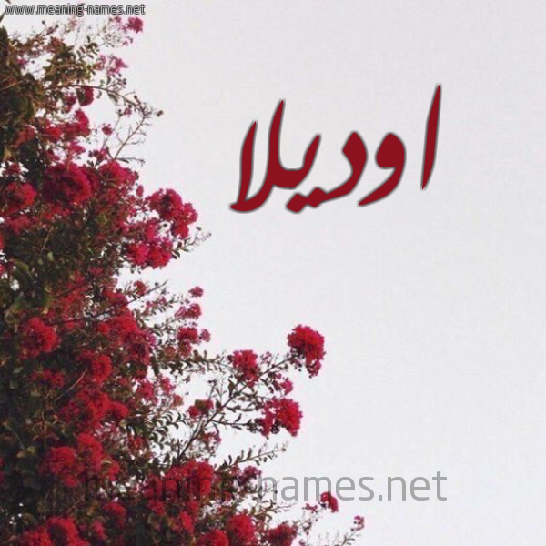شكل 18 صوره الورد الأحمر للإسم بخط رقعة صورة اسم اوديلا odilla