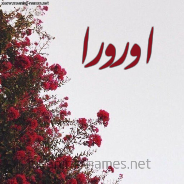 شكل 18 صوره الورد الأحمر للإسم بخط رقعة صورة اسم اورورا orora
