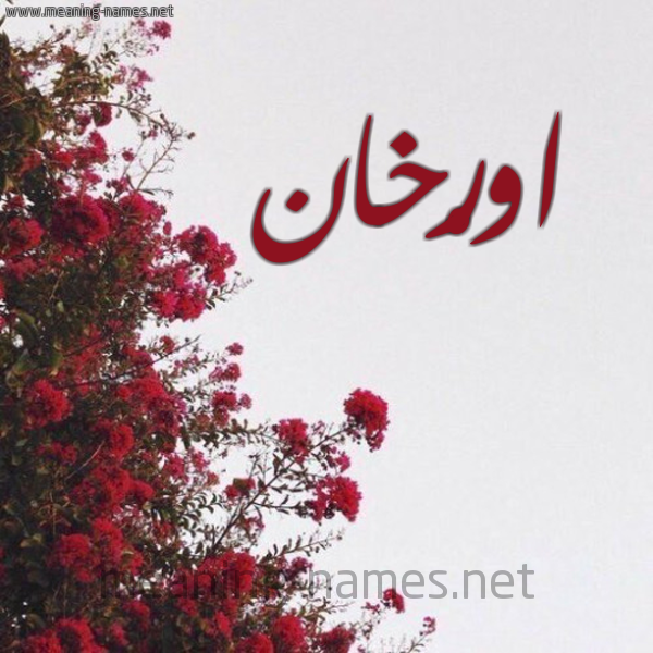 شكل 18 صوره الورد الأحمر للإسم بخط رقعة صورة اسم اورْخان AORKHAN