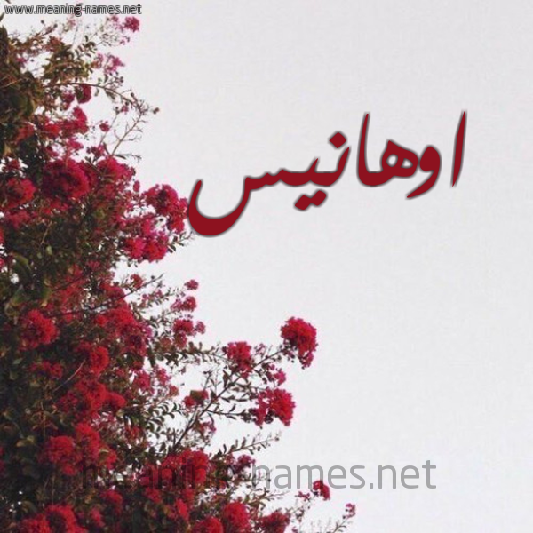 شكل 18 صوره الورد الأحمر للإسم بخط رقعة صورة اسم اوهانيس AOHANIS
