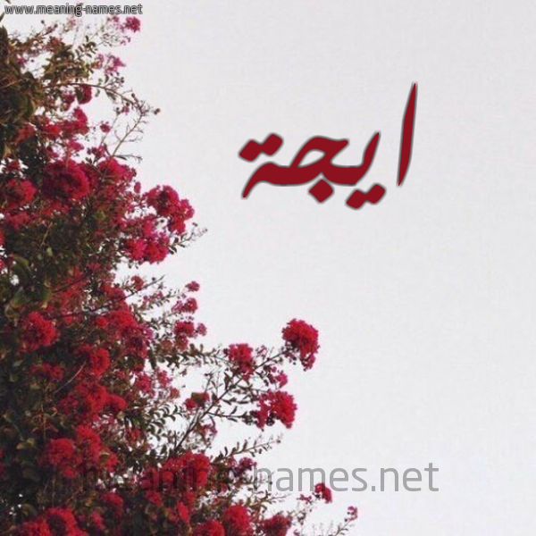 شكل 18 صوره الورد الأحمر للإسم بخط رقعة صورة اسم ايجة Ega